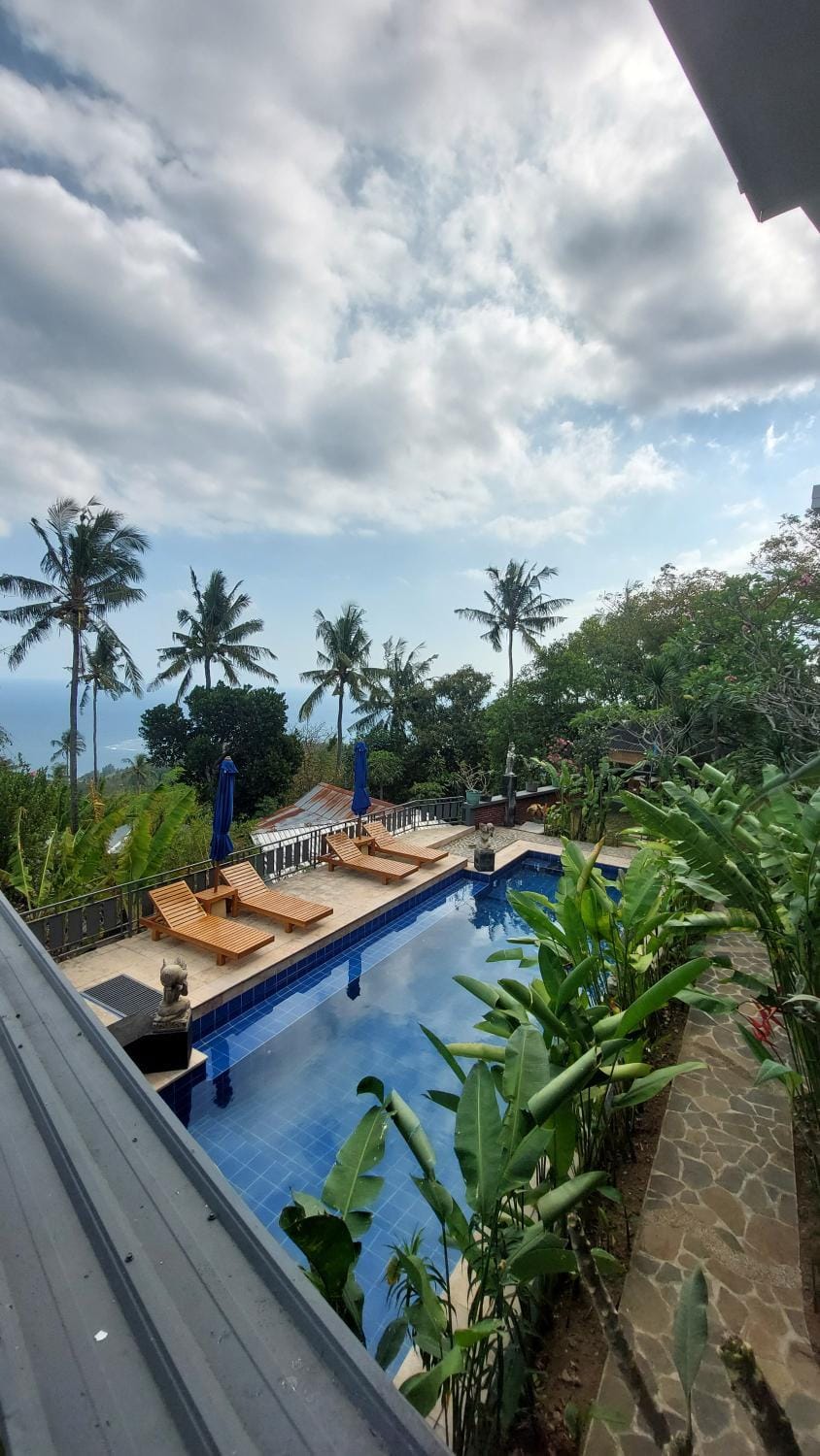 Day, Pool view, Swimming pool