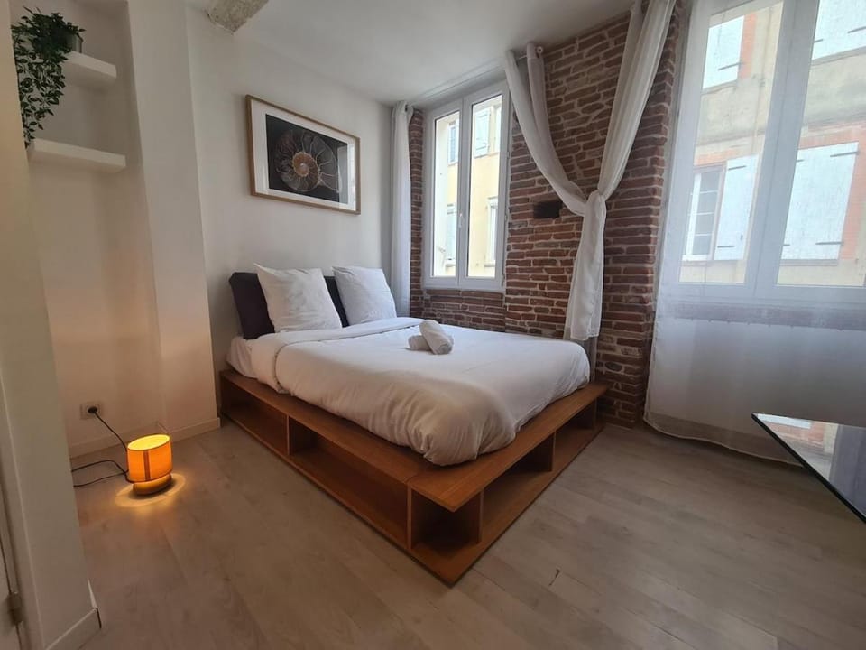 Alba Apartment in Toulouse