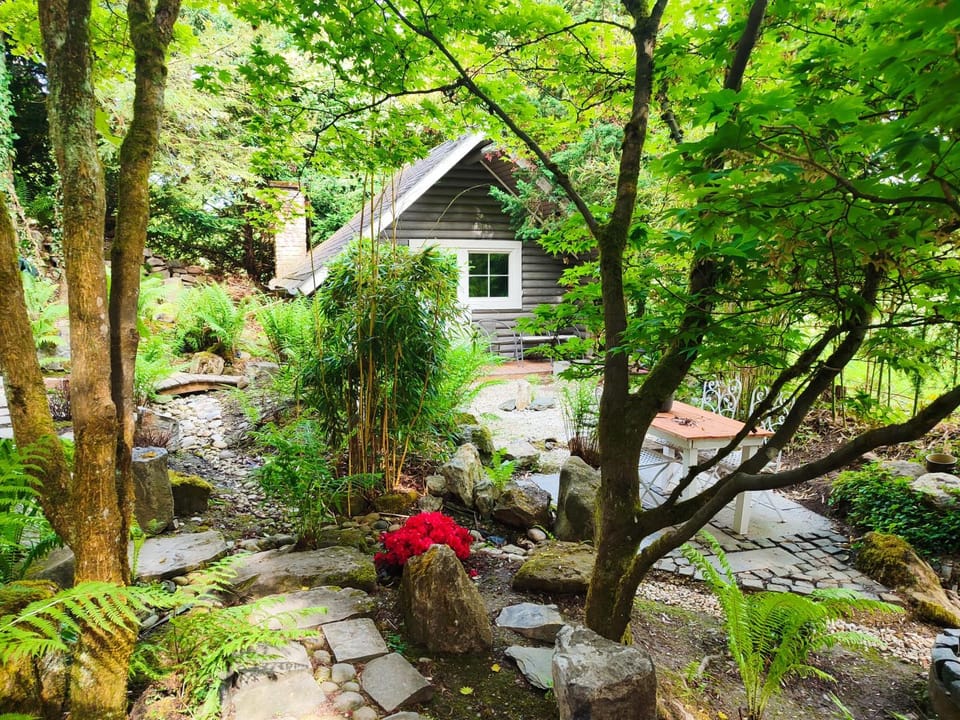 Property building, Garden, Garden view