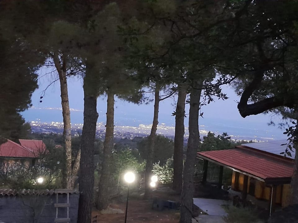 Garden, Photo of the whole room, Garden view