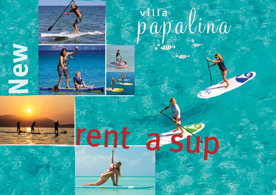 Activities, Sports, Entertainment