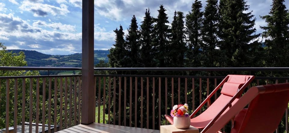 Das Ebner Apartments Apartment in Styria