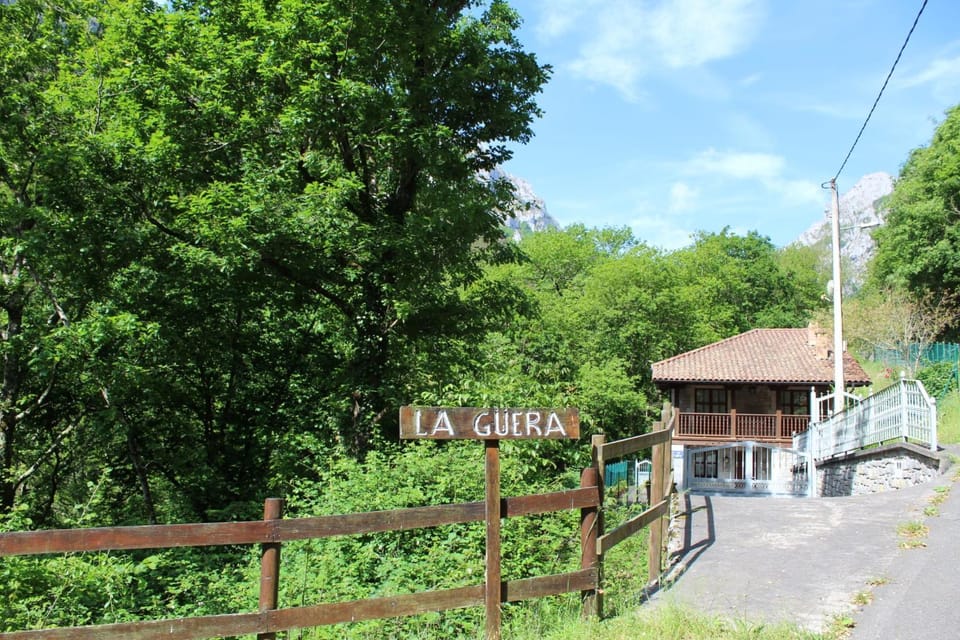 Property building, Natural landscape