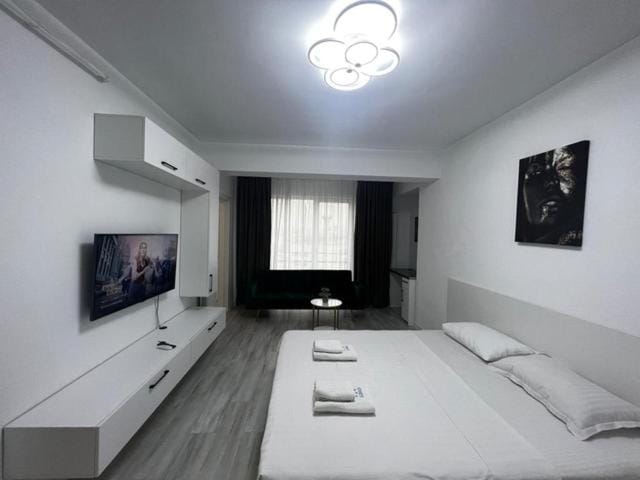 COZY City Collection - Central Studios Iasi Apartment in Romania