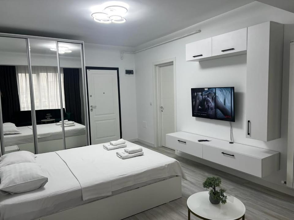 COZY City Collection - Central Studios Iasi Apartment in Romania