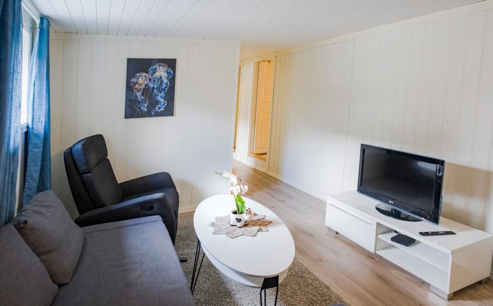 TV and multimedia, Living room, Seating area, Evening entertainment