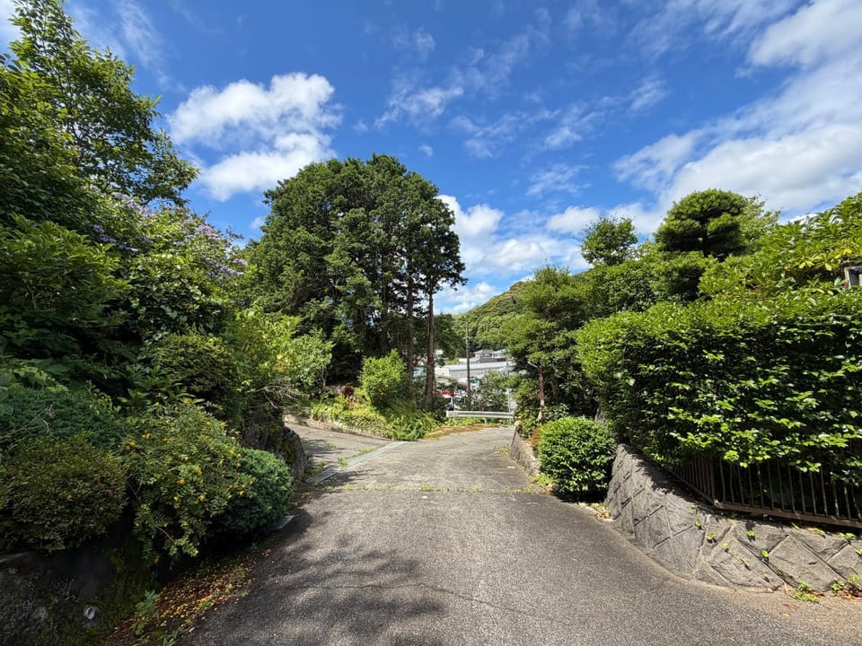 Day, Natural landscape, Garden