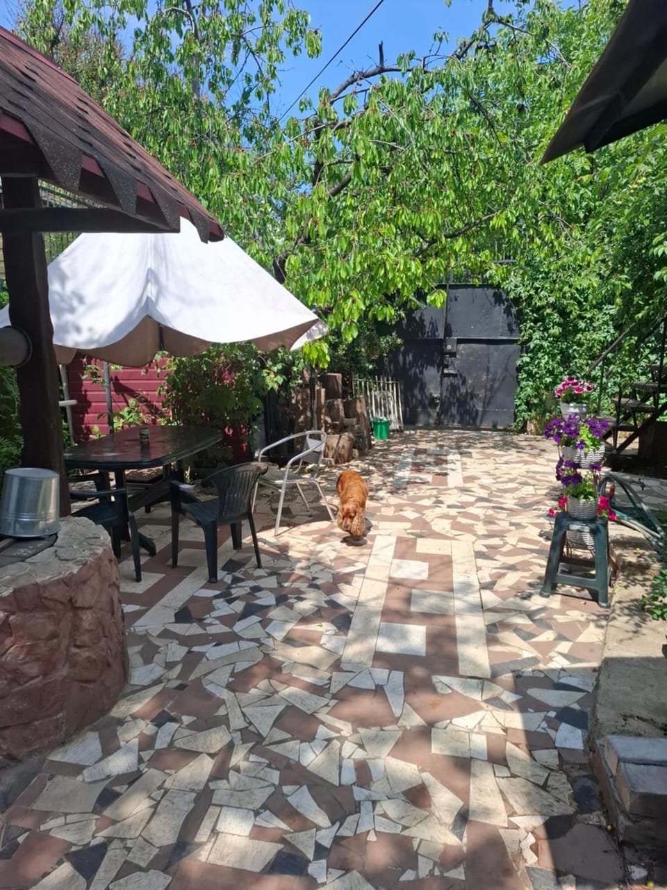 Day, Garden, Garden view