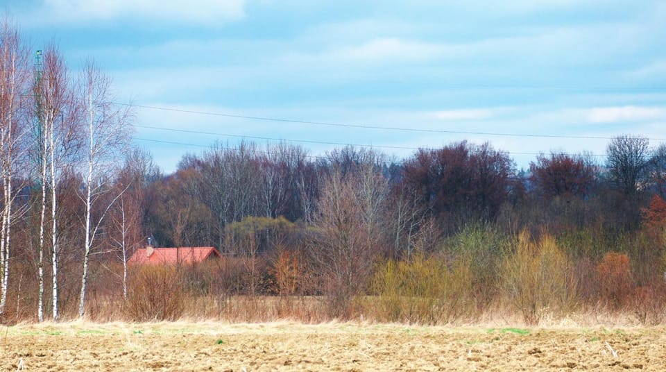 Natural landscape