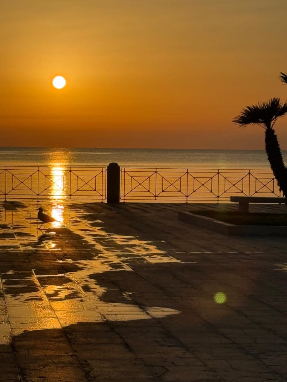 no STRESS Apartment in Vieste