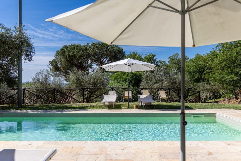 Natural landscape, Garden, Garden view, Pool view, Swimming pool, sunbed