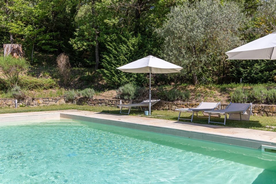Day, Garden, Garden view, Pool view, Swimming pool, sunbed