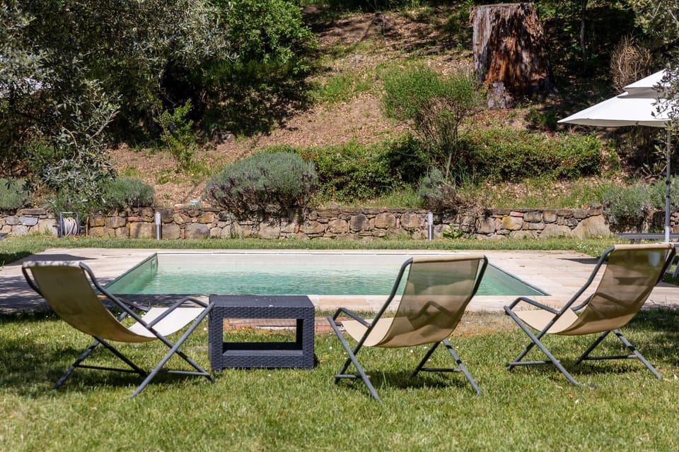 Day, Garden, Garden view, Pool view, Swimming pool, sunbed