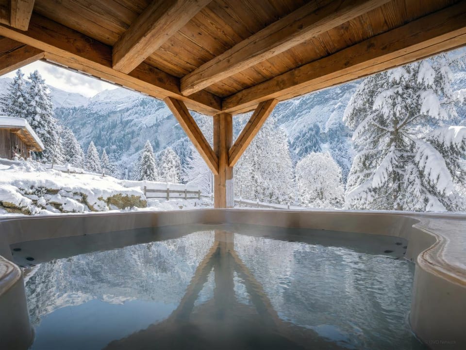 Natural landscape, Winter, Hot Tub, View (from property/room), Mountain view