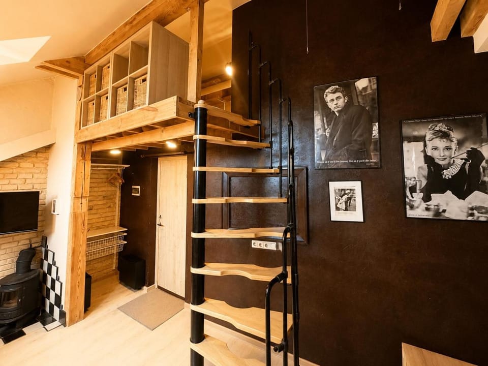 Vilniaus street Center apartment Apartment in Vilnius