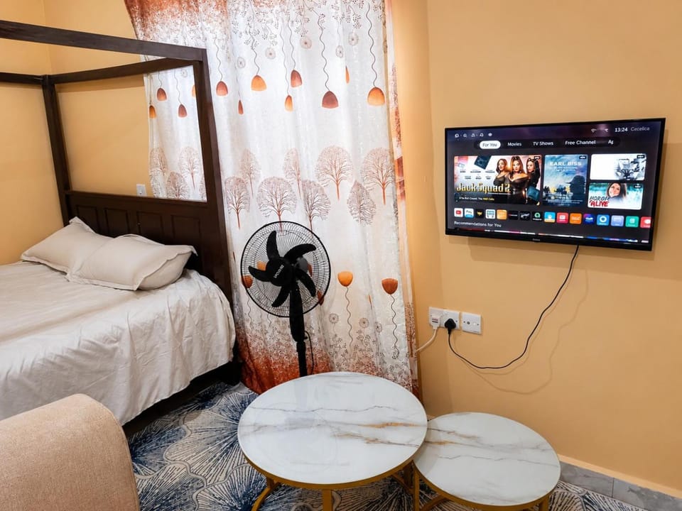 Bed, TV and multimedia