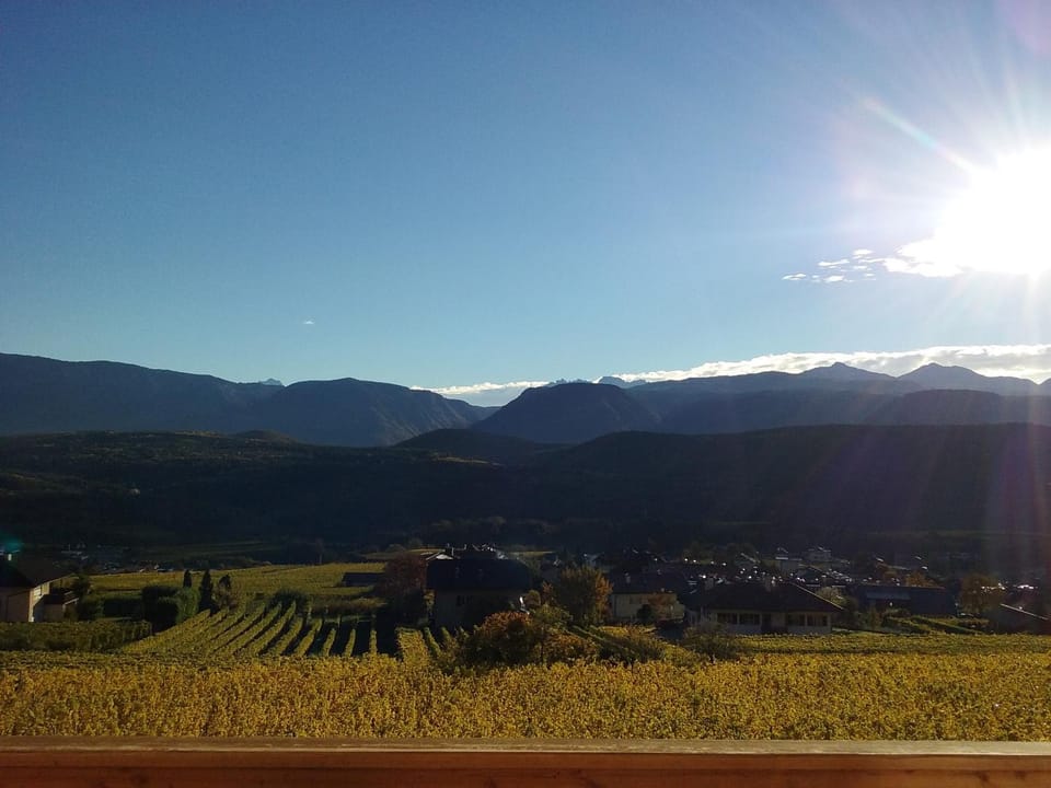 Garden view, Lake view, Landmark view, Mountain view