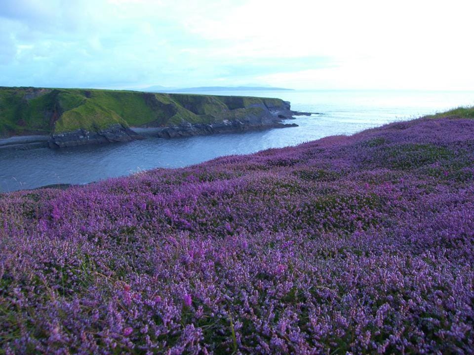 Nearby landmark, Natural landscape