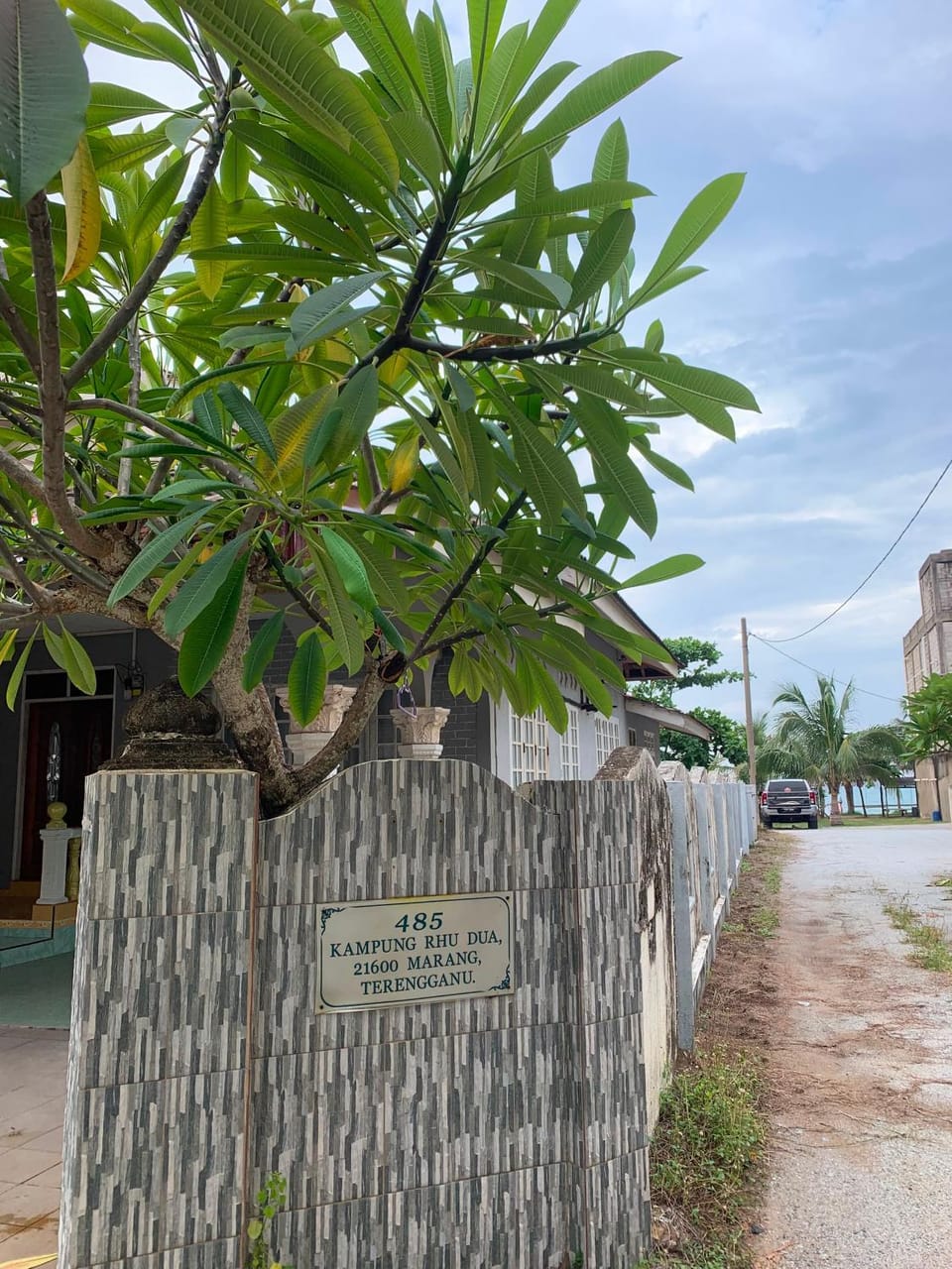 Spring, Day, Natural landscape, Street view