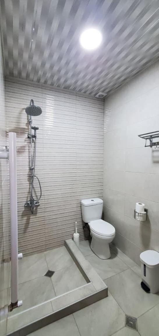 Shower, Toilet, Bathroom, bidet