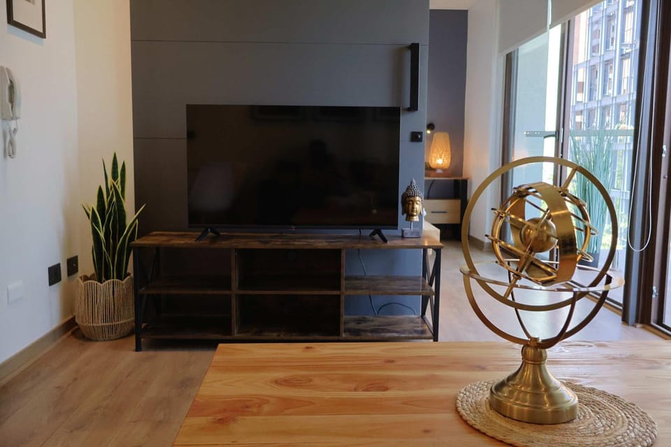 TV and multimedia