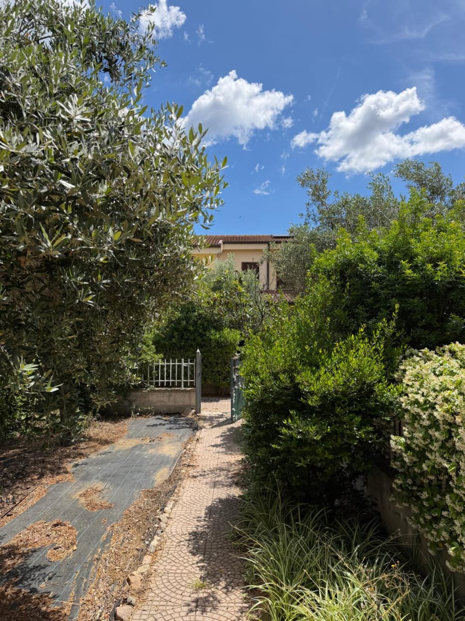 Sanyan House - Cosy villa Villa in Olbia