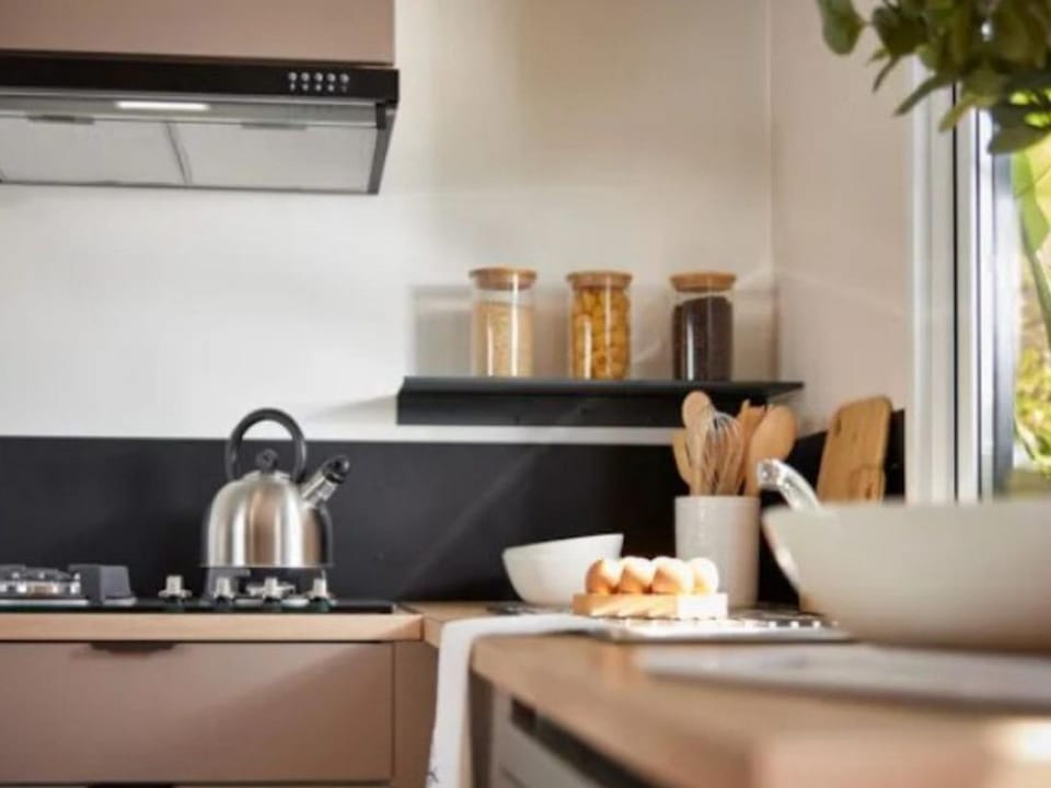Mobil-home avec animaux acceptés - 6 pers. - API-1-52-2970 Campground/ 
RV Resort in Arrens-Marsous
