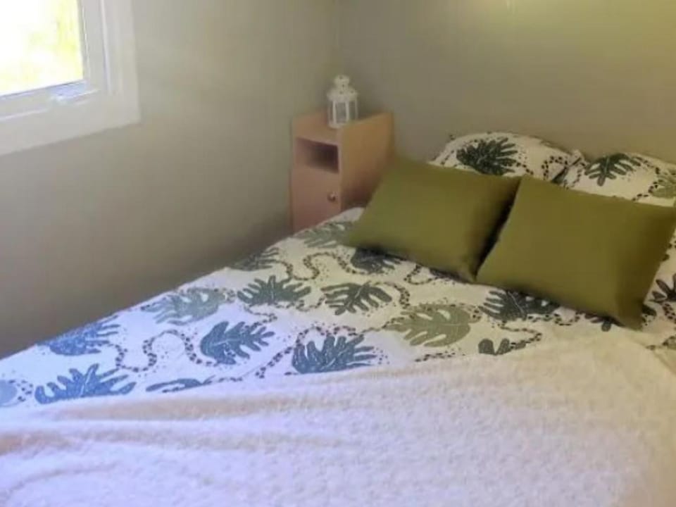 Mobil-home pratique, animaux OK - 4 pers. - API-1-52-2969 Campground/ 
RV Resort in Arrens-Marsous
