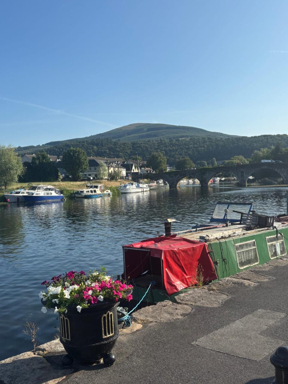 Barrow View Apartment Apartment in County Kilkenny