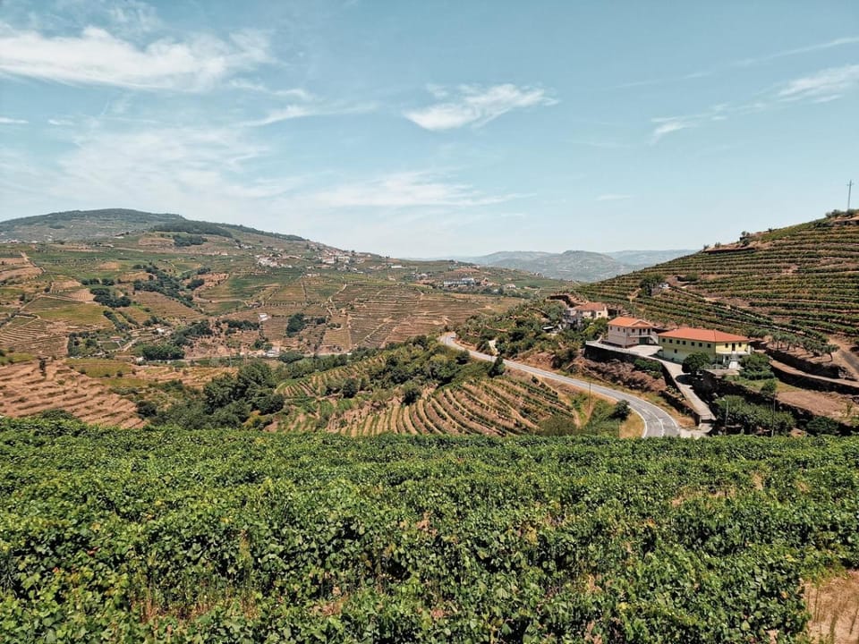 Fonte Country House with Jacuzzi - Douro Valley House in Vila Real District