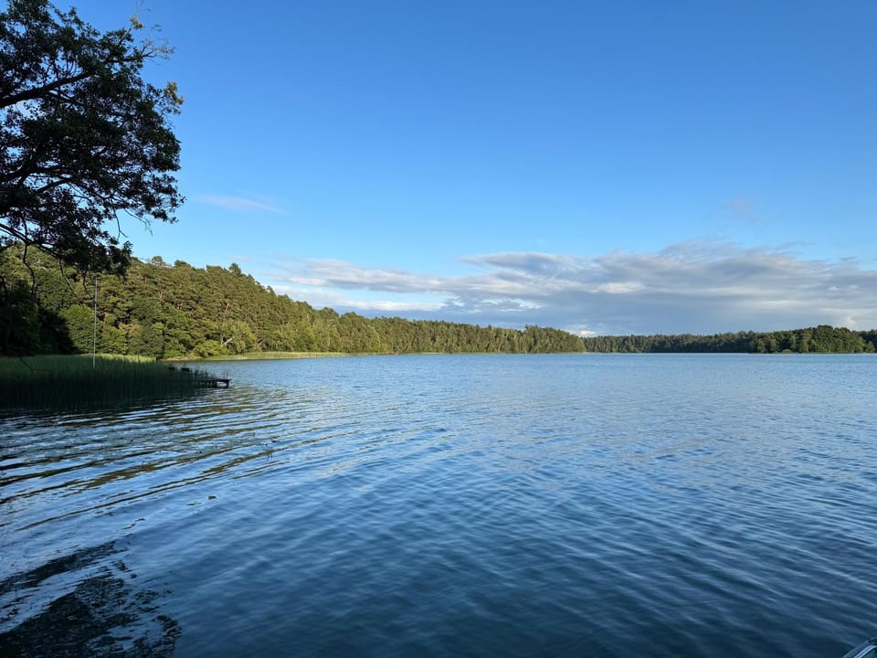 Lake view