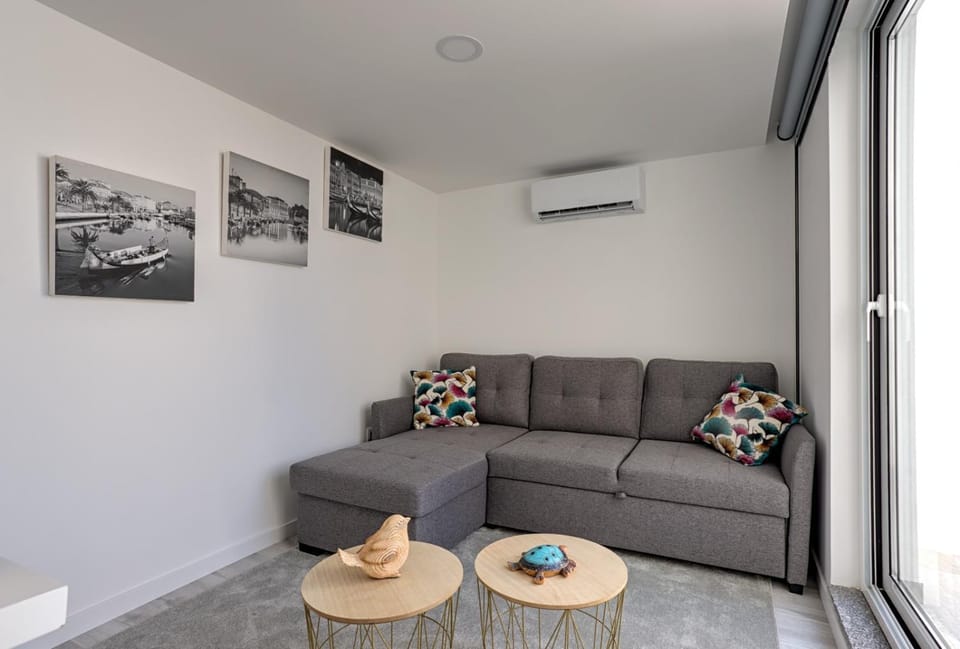 Cantinho a Sul Especial Apartment in Aveiro District, Portugal