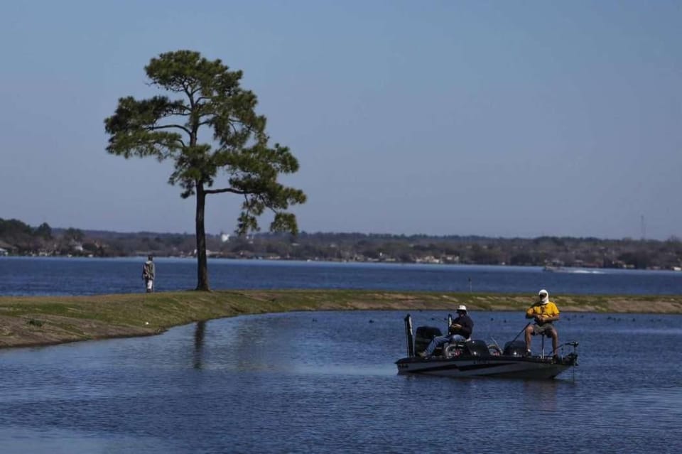 Lake view