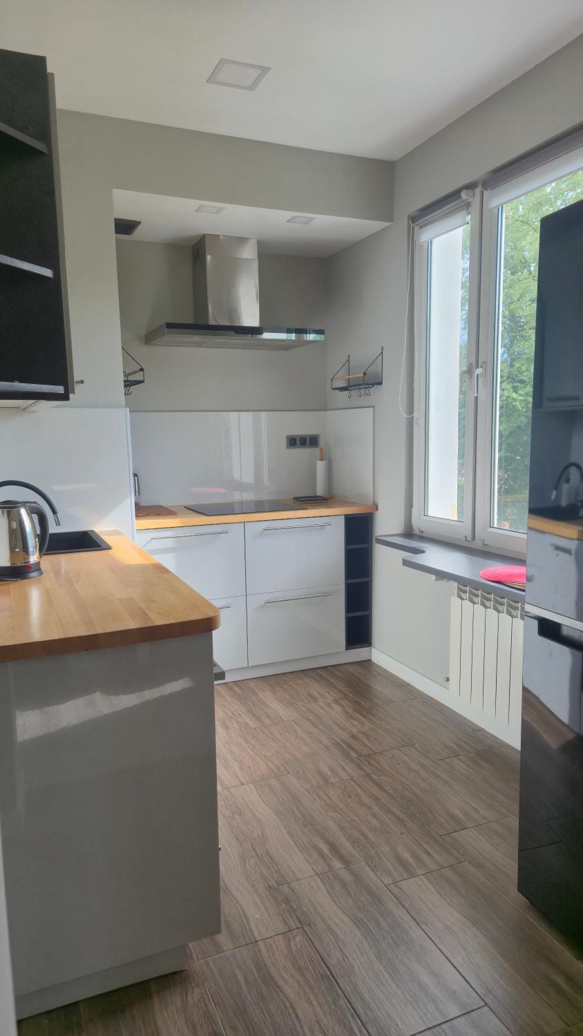 Kitchen or kitchenette, dishwasher, stove
