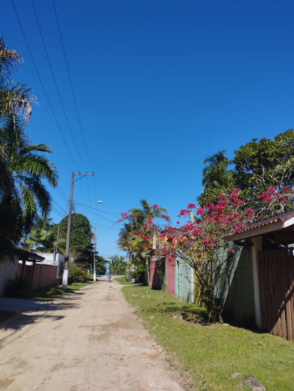 Neighbourhood, Street view