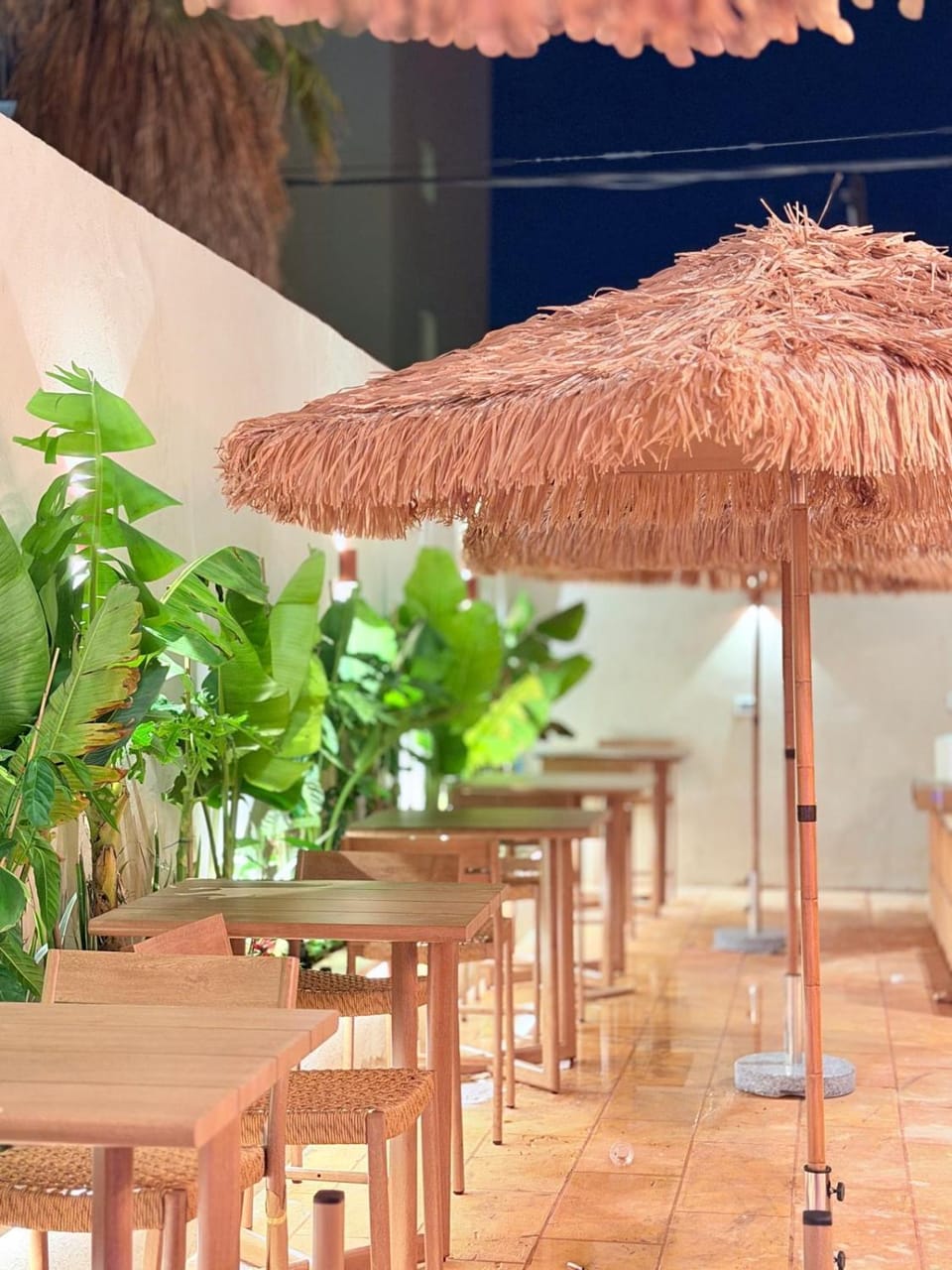 Garden, Balcony/Terrace