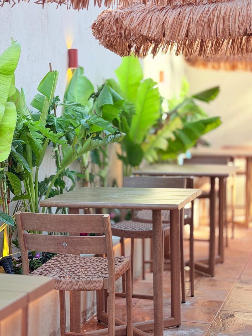 Garden, Balcony/Terrace