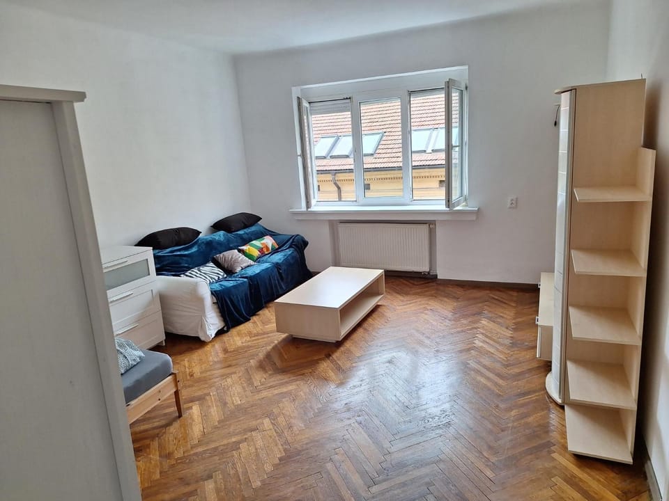 large flat with two bedrooms in the old town Apartment in Bratislava