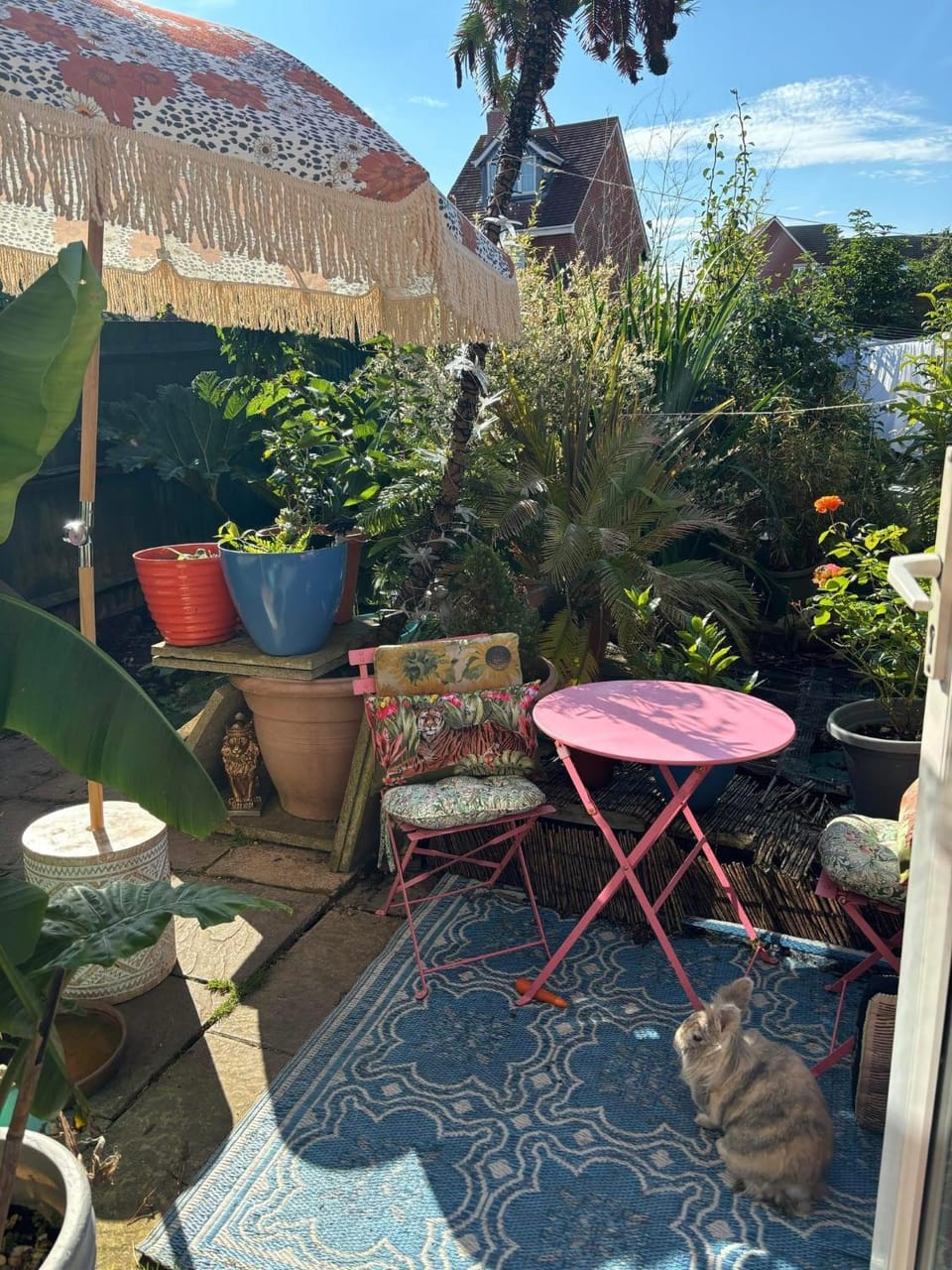 Patio, Garden, Garden view