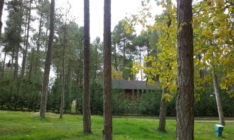 Natural landscape, Garden view