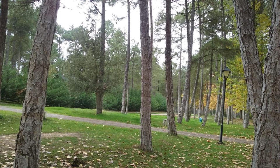 Natural landscape, Garden