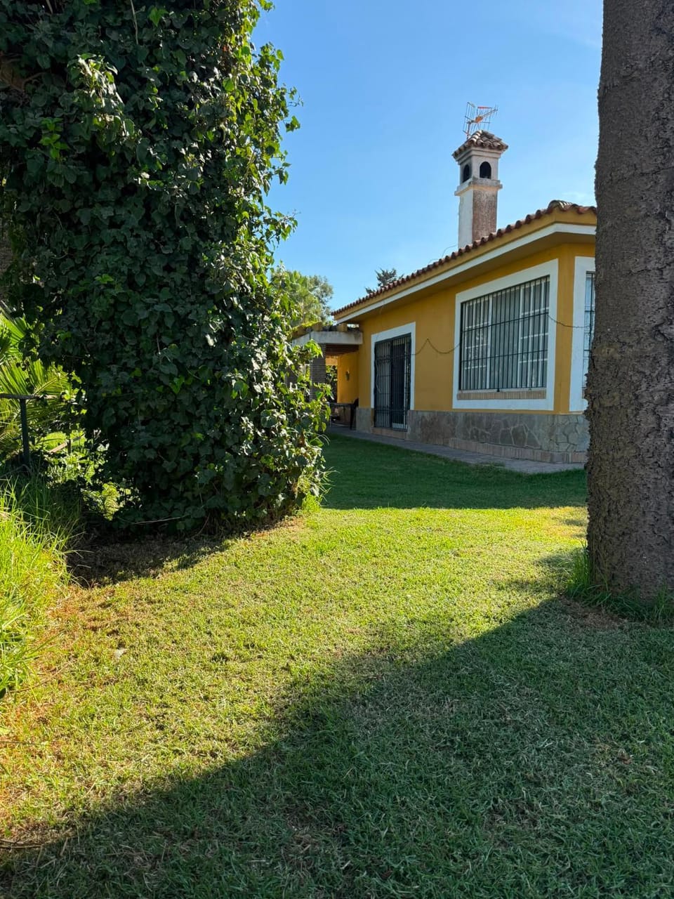 Garden, Garden view