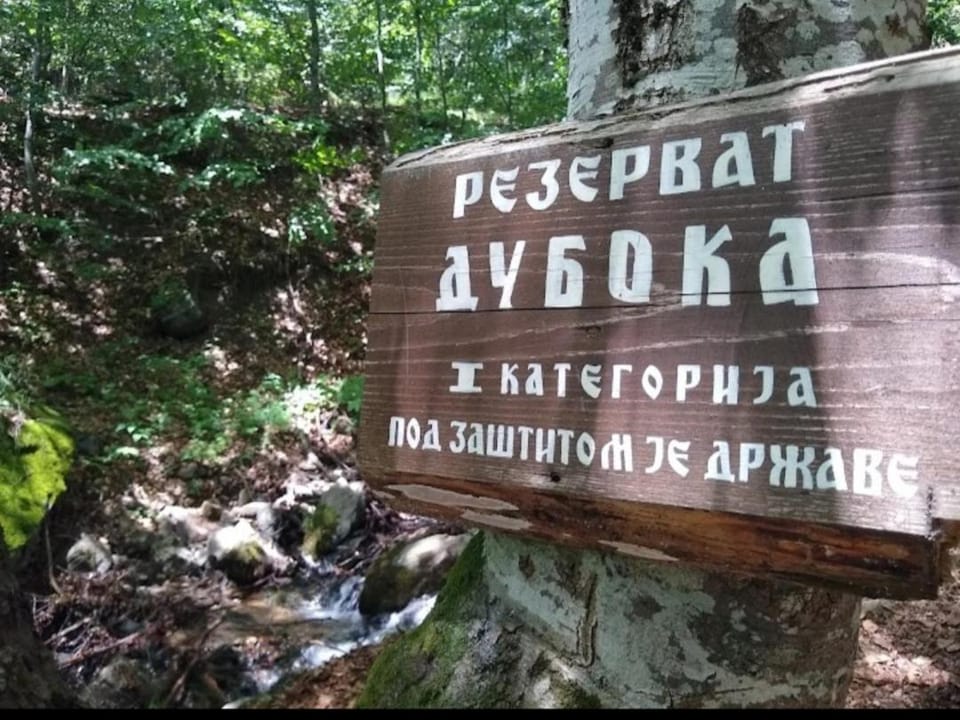 Apartman Kopaonik Brzeće Apartment in Serbia