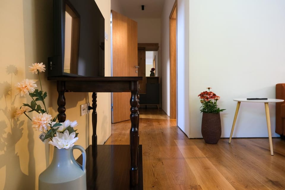 Hiša Breza - Apartments Ljubljana Apartment in Ljubljana