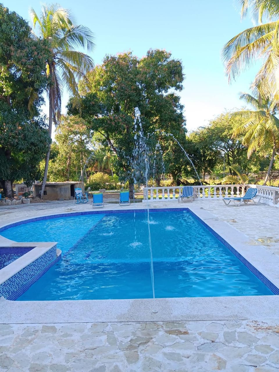 Summer, Garden, Swimming pool