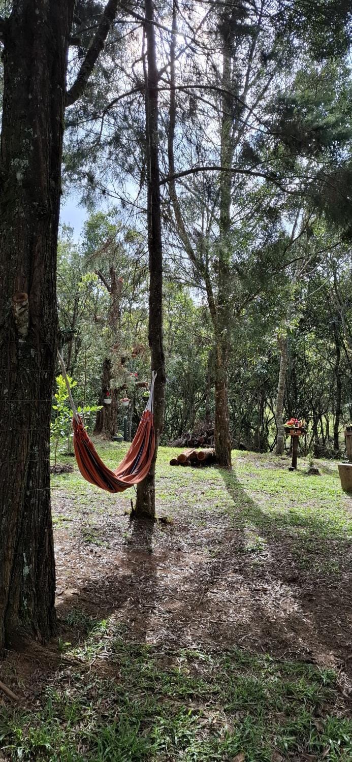Off site