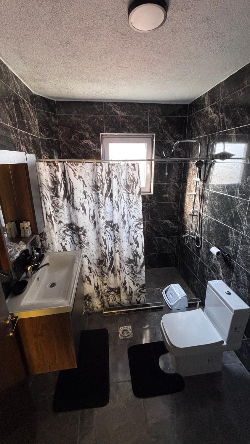 Shower, Toilet, Bathroom, bidet