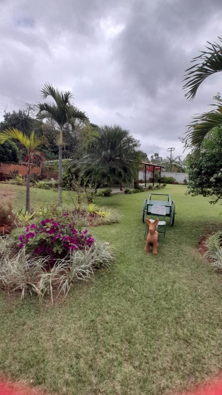 Garden, Garden view