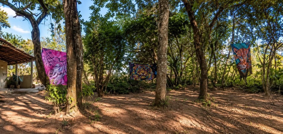 Camp luz casal 1 Campground/ 
RV Resort in State of São Paulo