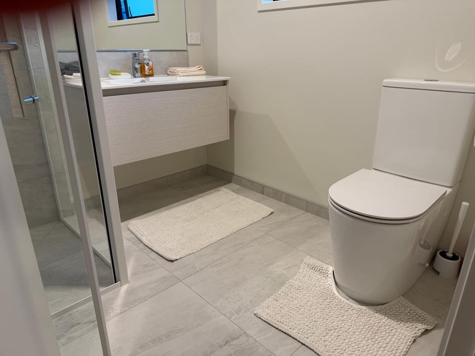 Shower, Toilet, Bathroom, hair dryier